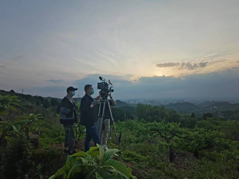 创意破圈！马边彝族电商产品宣传视频用故事化叙事引爆流量